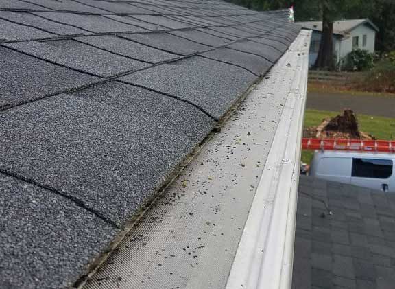 Home with gutter screens protecting gutters