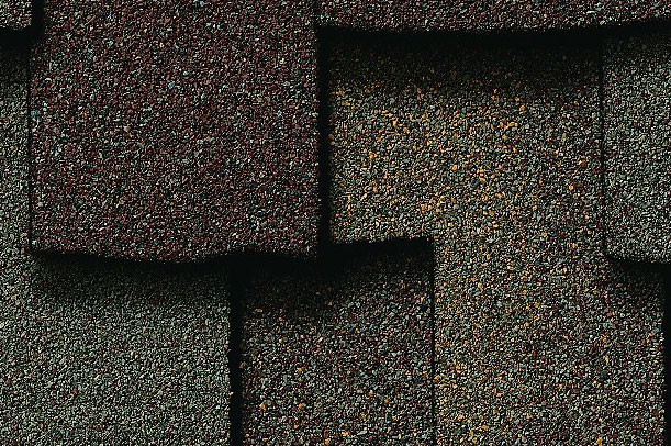 Three Tree Roofing - CertainTeed 5 Star Contractor offering CertainTeed Presidential TL composite shingles