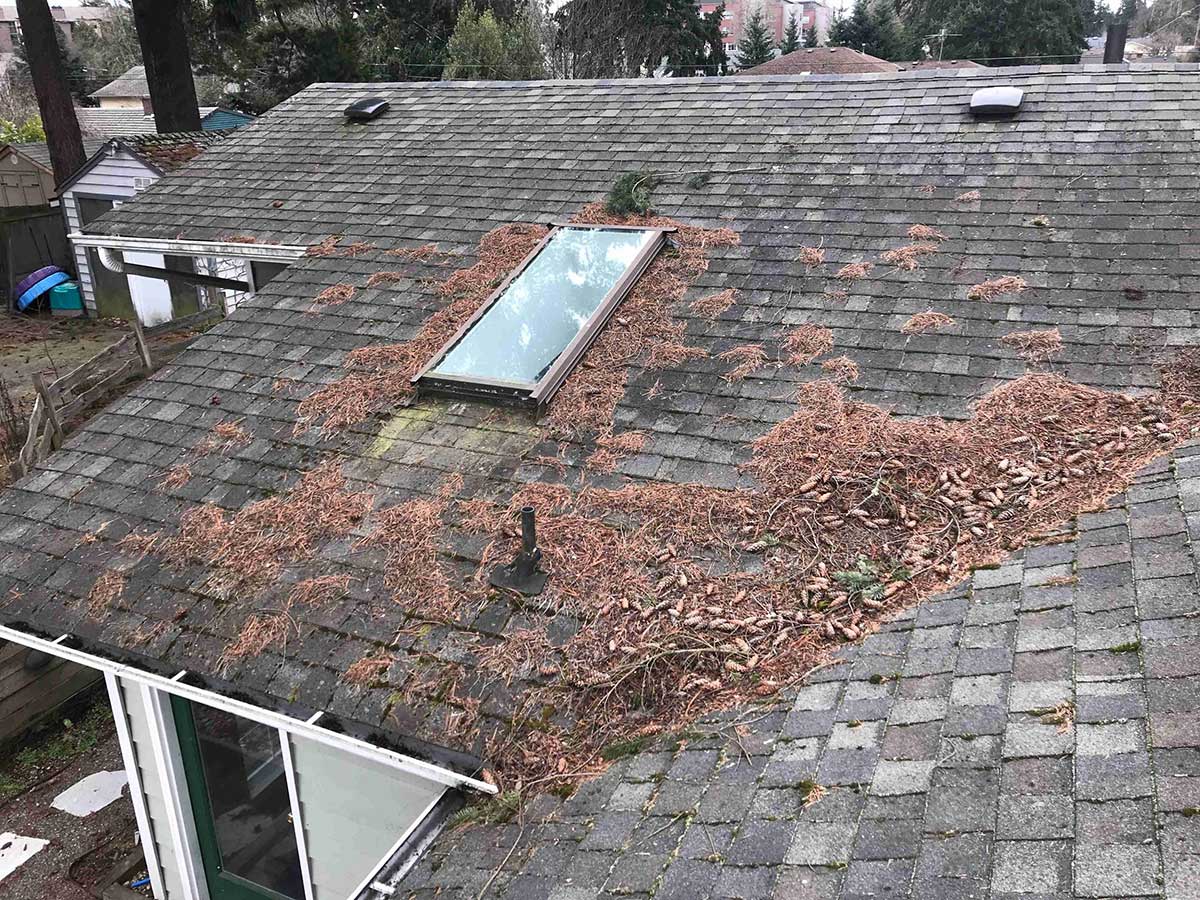 Home with semi clean Composite roof in need of shingle roof maintenance