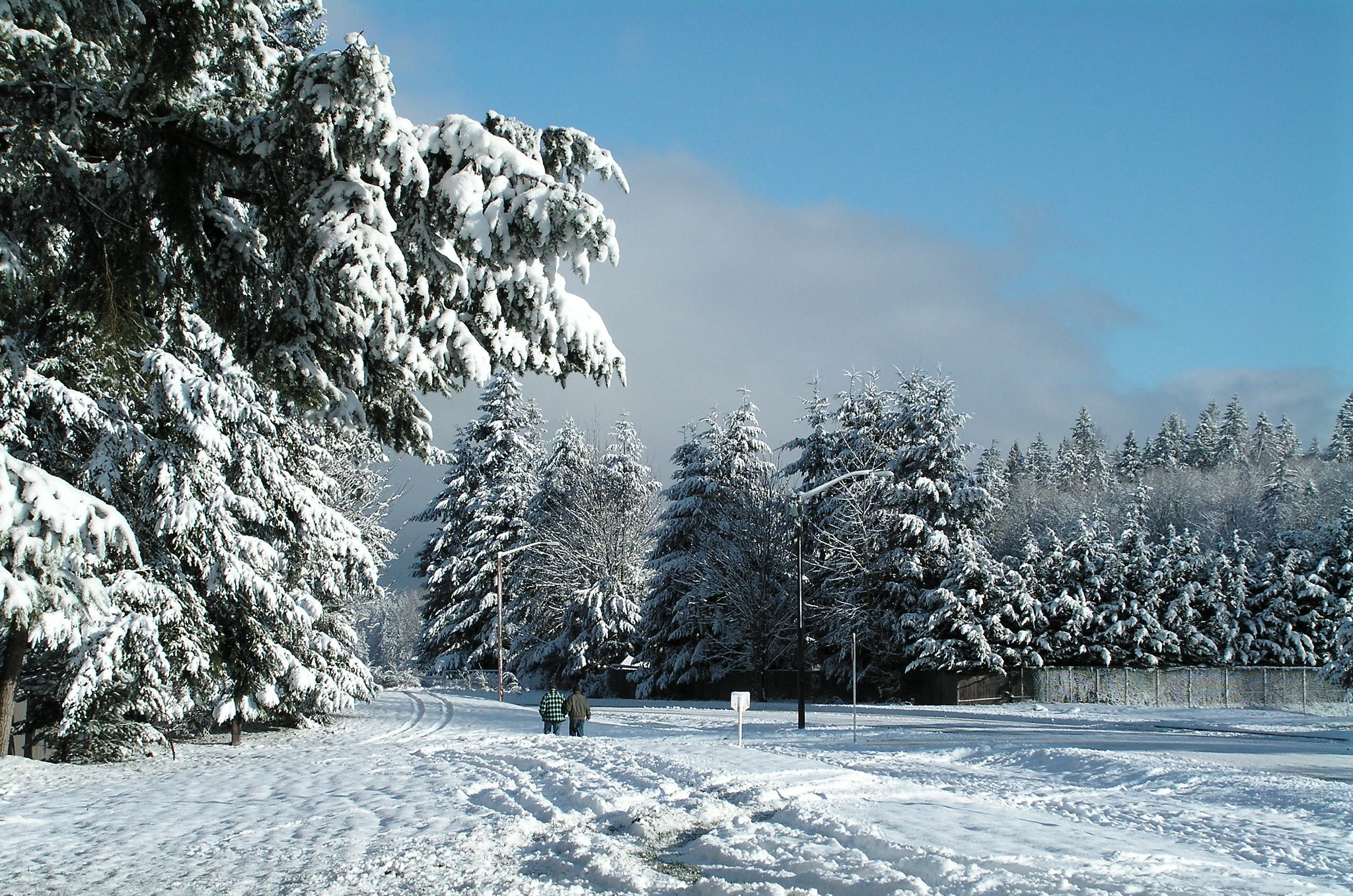 Snowy landscape in Covington, WA with snow covered trees and two people walking on a snow covered path.