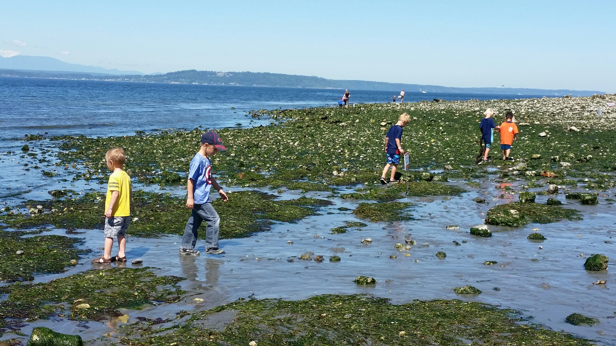 Richmond Beach Saltwater Park is a peaceful spot to take your family and enjoy the Puget Sound.