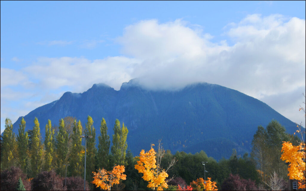  Mt Si usually covered in fog, snow, and low clouds. This day the sun shone on Mt. Si and the flowers in the foreground glowed in the brilliant light.