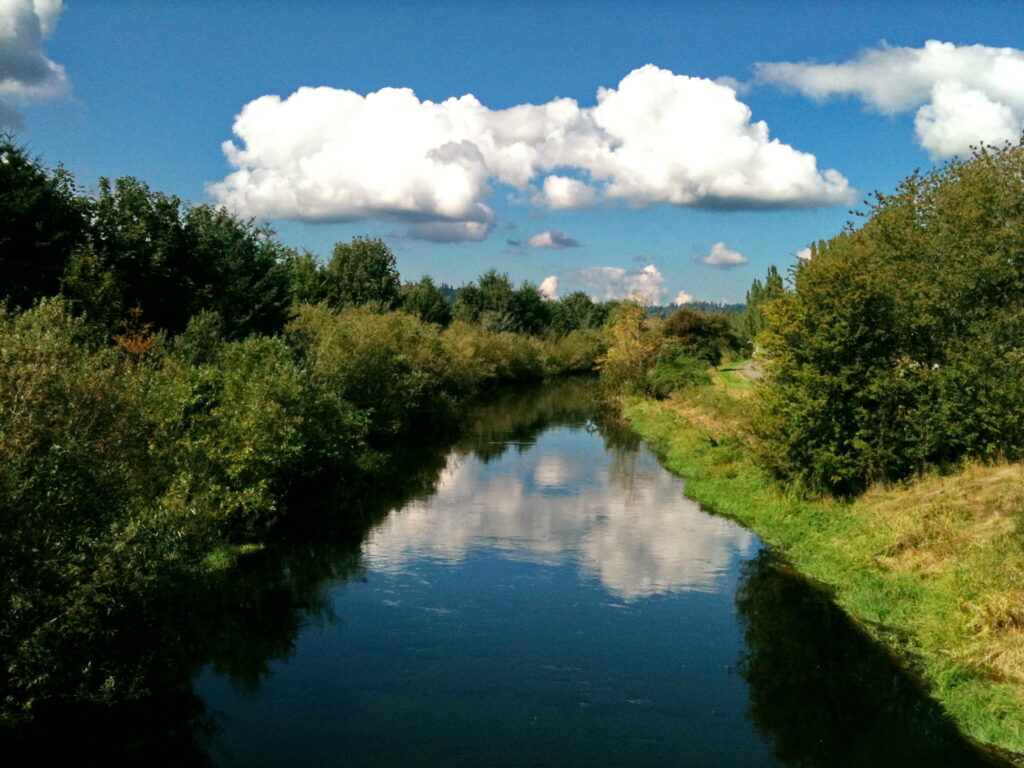 Puffy clouds and a clear blue sky over the Sammamish River