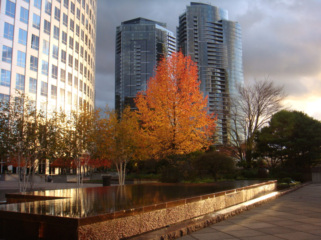 Skyscrapers and bright orange and gold Fall colors in downtown Bellevue, Washington 