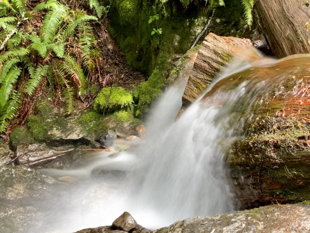 A lovely waterfall on the Teneriffe Falls trail, Mt. Si Natural Resources Conservation Area, North Bend, WA