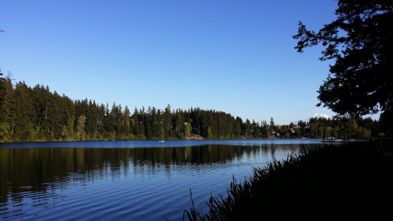 THE CITY OF MAPLE VALLEY, WASHINGTON 