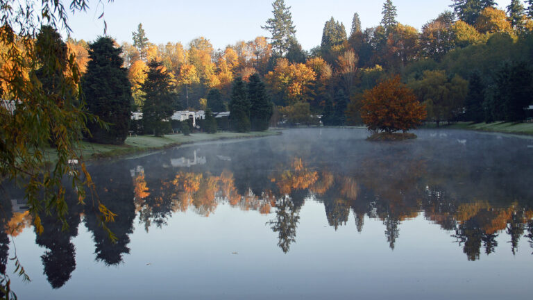 THE CITY OF BOTHELL, WASHINGTON 