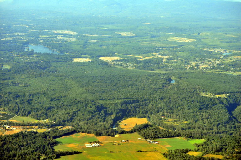 THE CITY OF REVENSDALE, WASHINGTON 