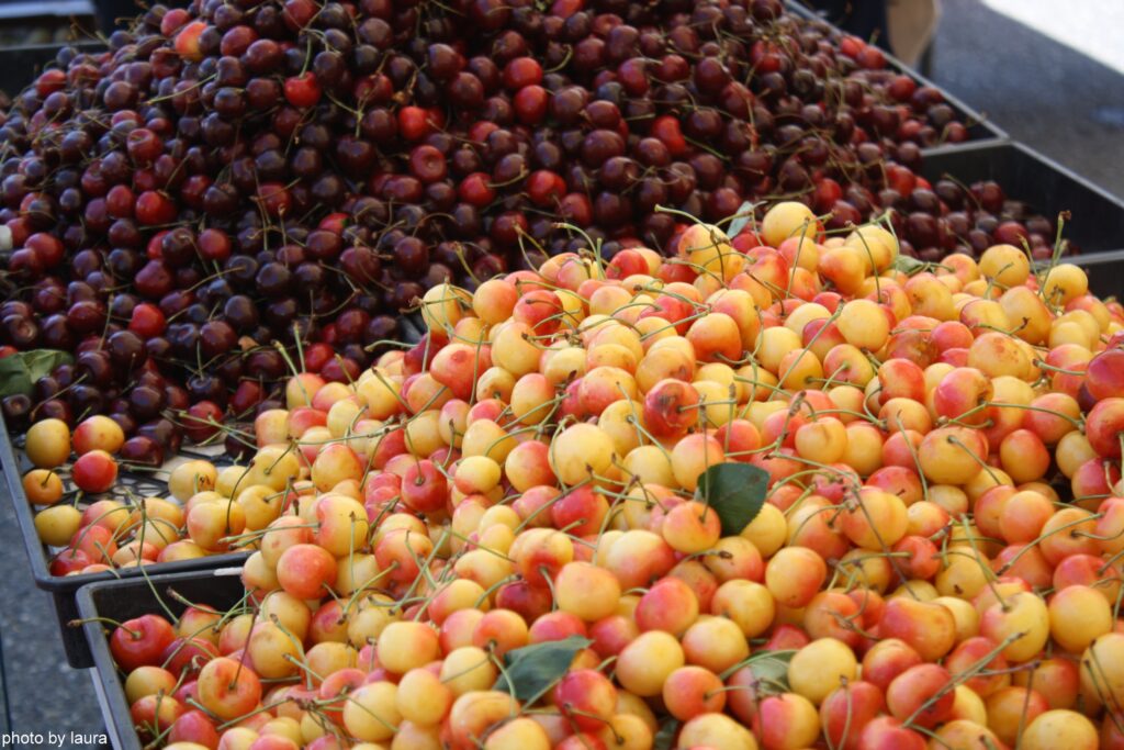 Cherries at Lake Forest Park Farmers Market