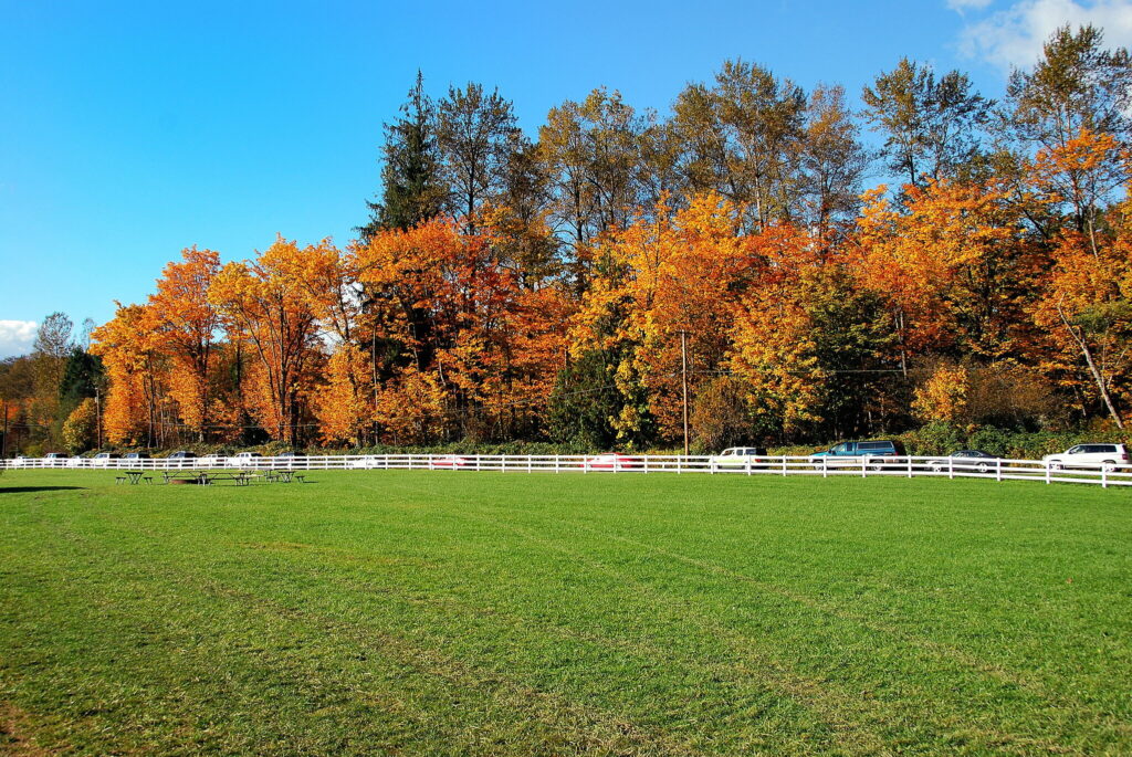 Green field at Remlinger Farms