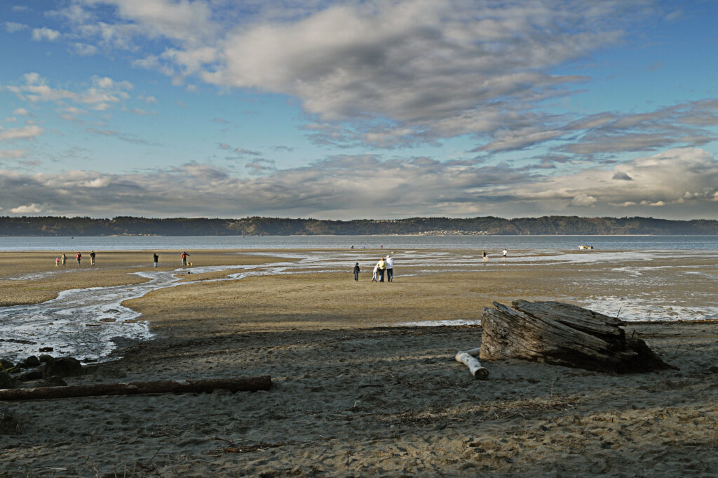 Fife, Washington - Dash Point State Park