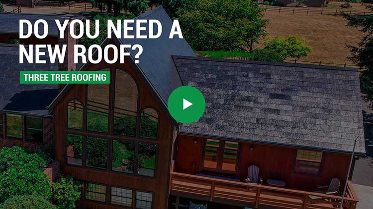 Do You Need a New Roof?