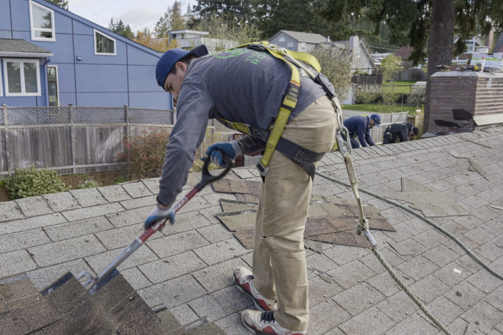 Three Tree Roofing roofer removing shingle roofing