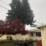 Visiting a Lynnwood, Washington Customer to Bid a Full Roof Replacement