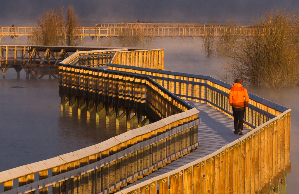 At Billy Frank Jr. Nisqually National Wildlife Refuge, a walk on the boardwalk leads visitors out and over the Nisqually estuary for various views depending on the tide.