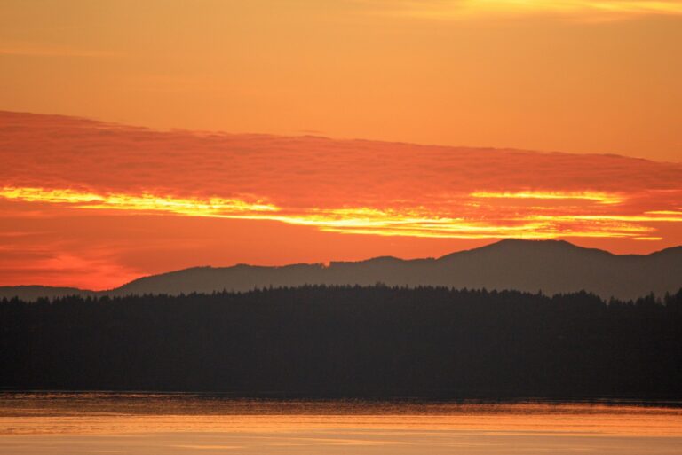 THE CITY OF STEILACOOM, WASHINGTON 