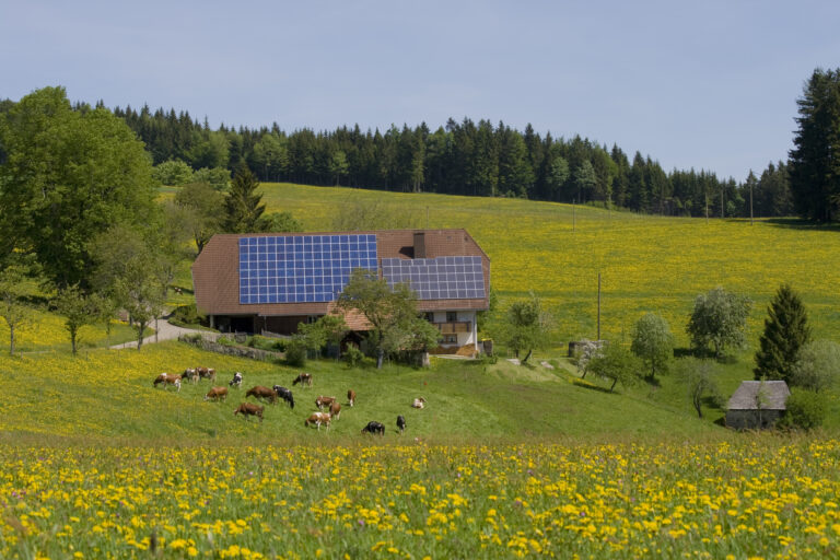 Solar Panels 101: What Homeowners Need to Know