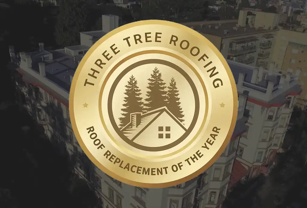 Best Roof Replacement of the Year